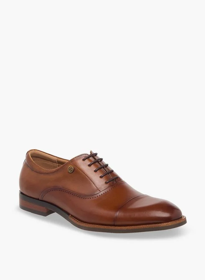 دوتشيني Men Lace-Up Leather Oxford Shoes