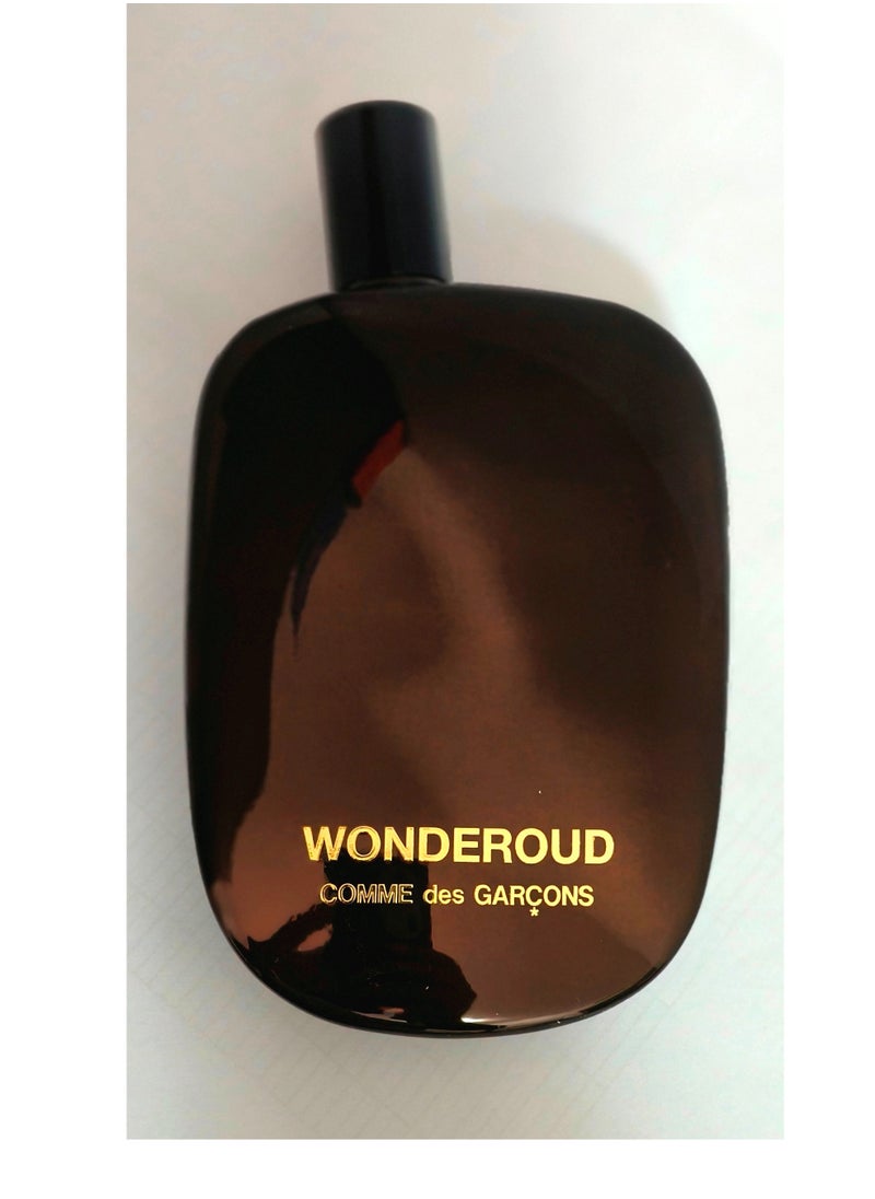 COMME DES GARCONS - Wonderoud by Comme des Garcons EDP 100ml TESTER - Image 1