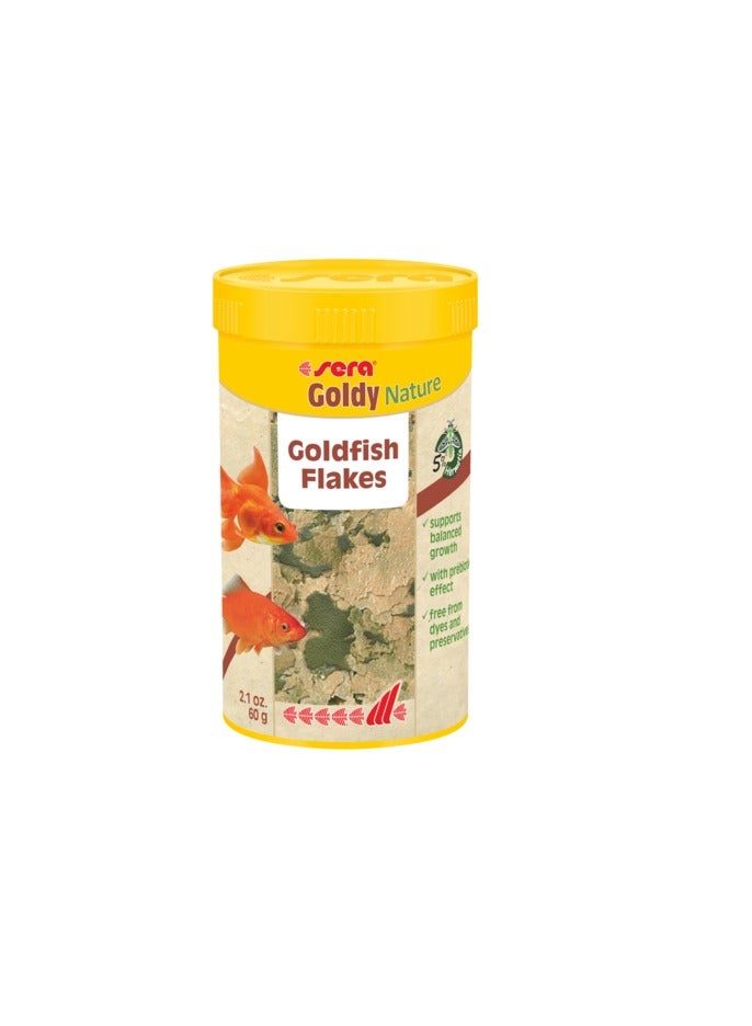 Sera Goldy Nature Flakes Food For Gold Fish - Image 2