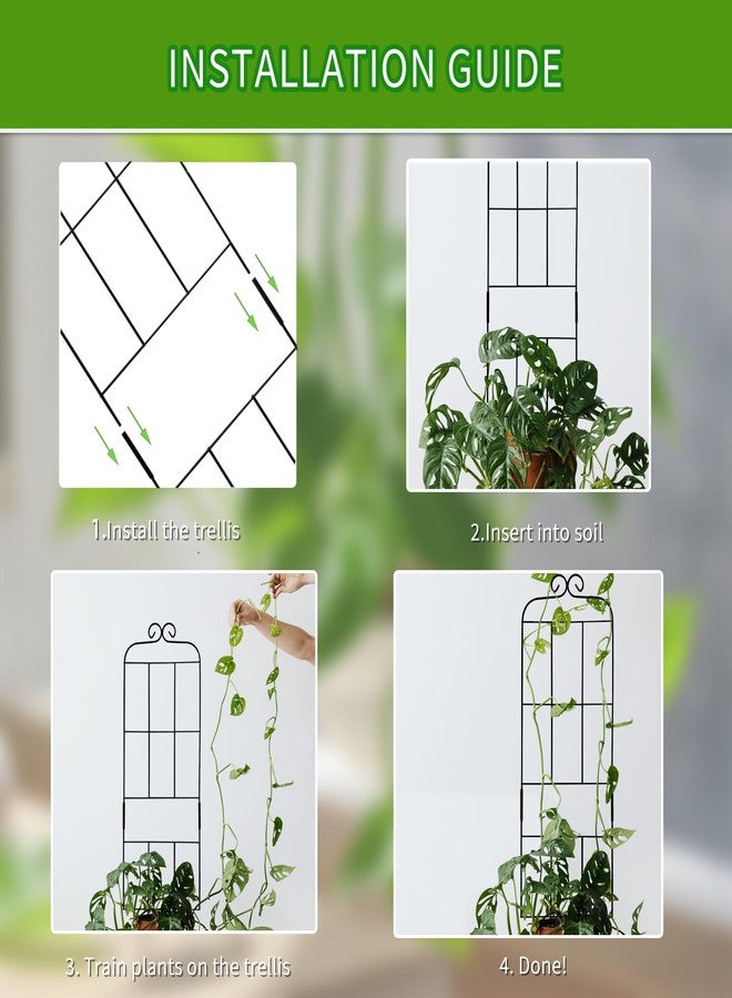 Hensal 4 Pack 31'' Plant Trellis for Climbing Plants Indoor & Outdoor, Metal Trellis for Potted Plants, Plant Support for Houseplant, Vines, Pothos, Rose, Ivy, and Flowers, Black - Image 3