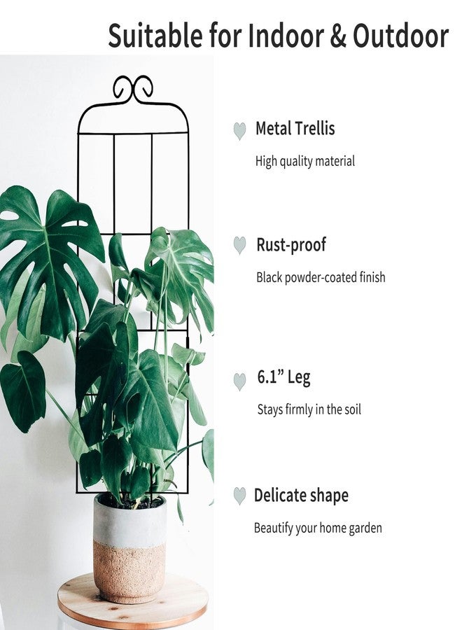 Hensal 4 Pack 31'' Plant Trellis for Climbing Plants Indoor & Outdoor, Metal Trellis for Potted Plants, Plant Support for Houseplant, Vines, Pothos, Rose, Ivy, and Flowers, Black - Image 4