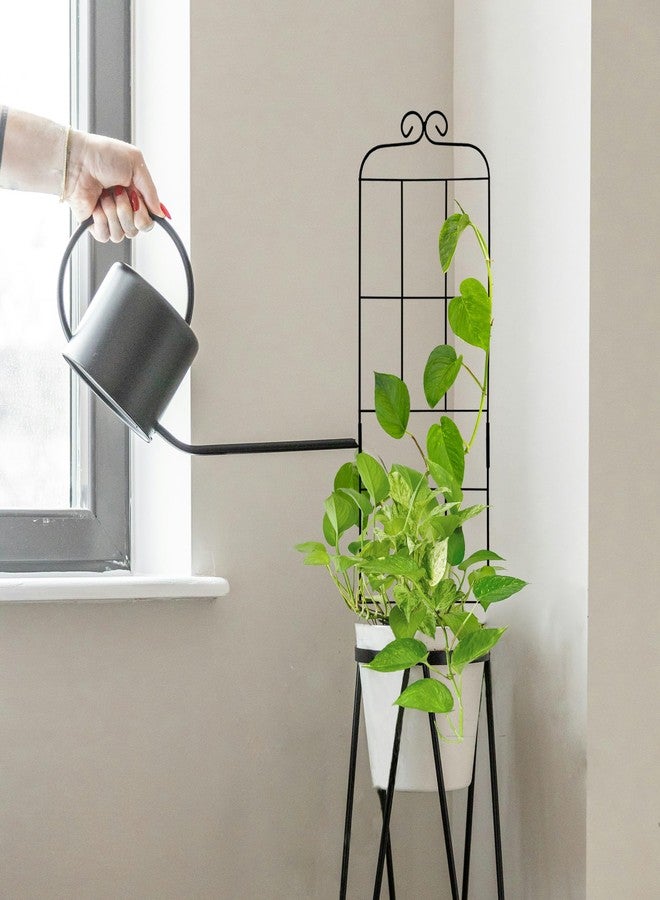 Hensal 4 Pack 31'' Plant Trellis for Climbing Plants Indoor & Outdoor, Metal Trellis for Potted Plants, Plant Support for Houseplant, Vines, Pothos, Rose, Ivy, and Flowers, Black - Image 5