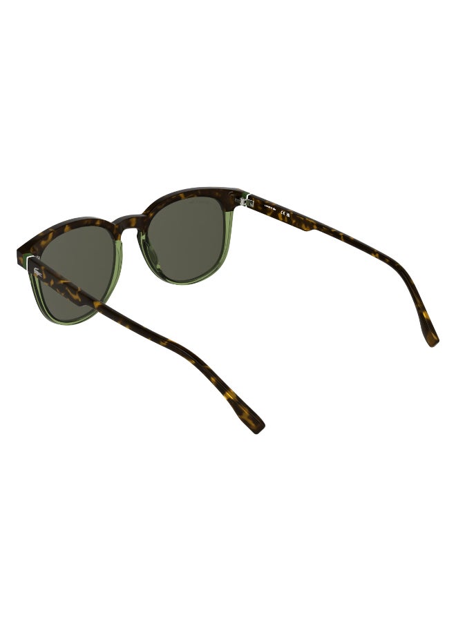 LACOSTE نظارات شمسية لاكوست كاملة الإطار L6073S 5219 (223) هافانا/شفافة خضراء فاتحة - Image 5
