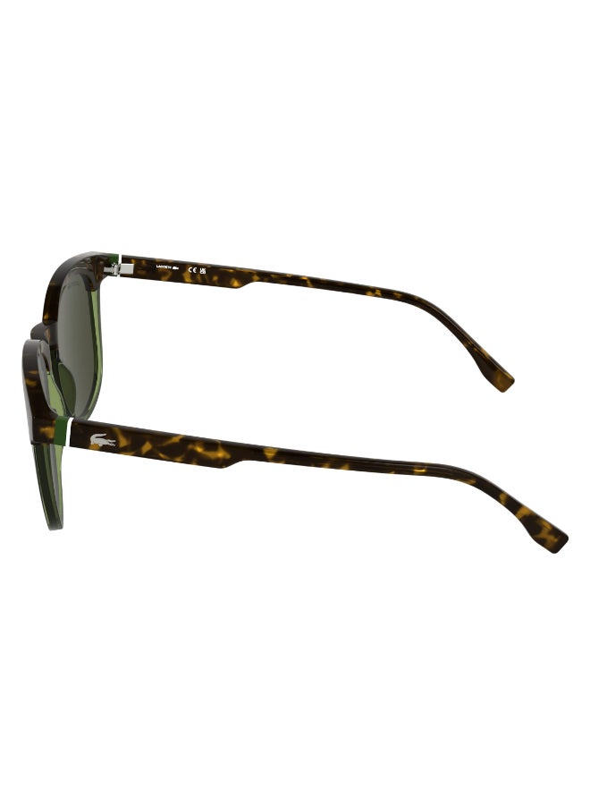 LACOSTE نظارات شمسية لاكوست كاملة الإطار L6073S 5219 (223) هافانا/شفافة خضراء فاتحة - Image 4