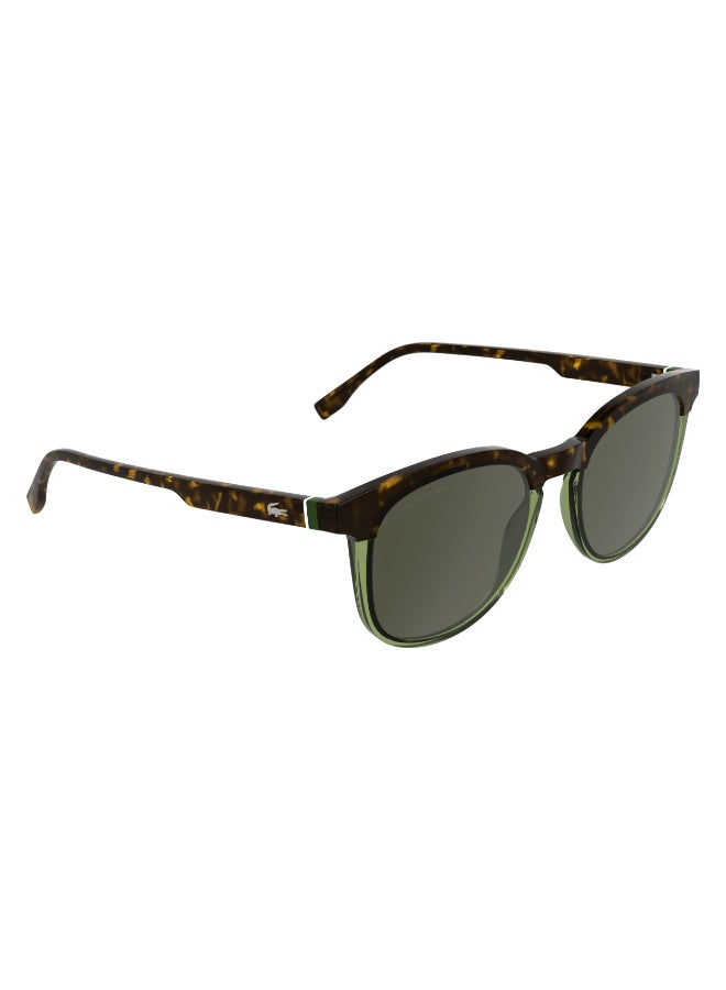 LACOSTE نظارات شمسية لاكوست كاملة الإطار L6073S 5219 (223) هافانا/شفافة خضراء فاتحة - Image 3