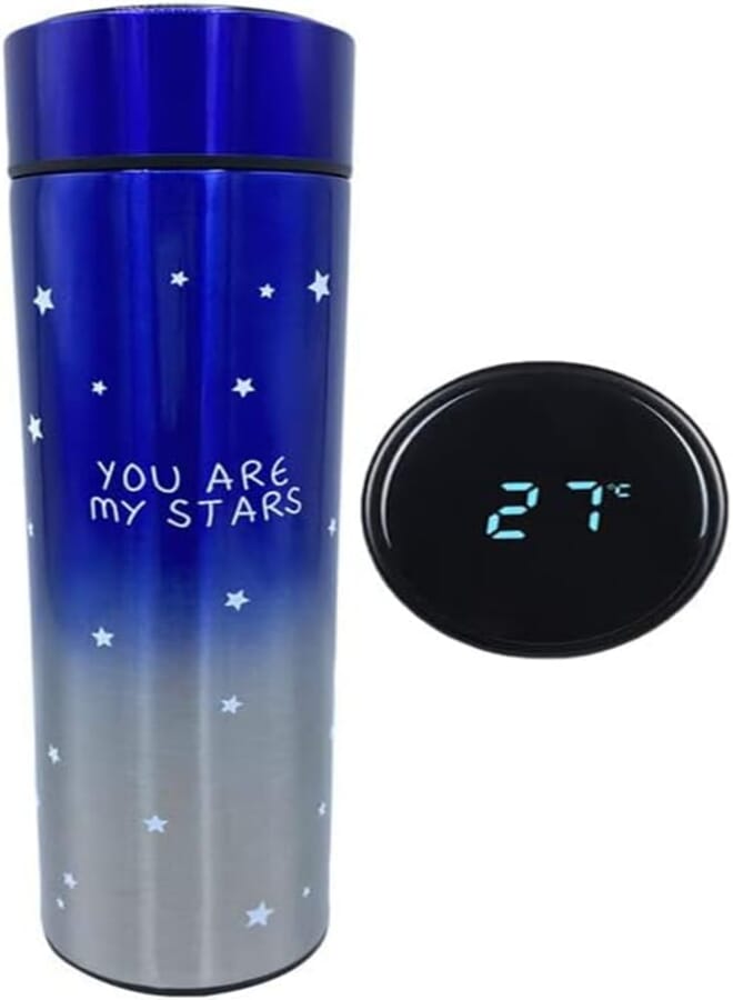 Spaceshoop Stainless Steel Thermal Mug with LED Digital Touch Screen for Hot or Cold Drinks (Blue*Silver)