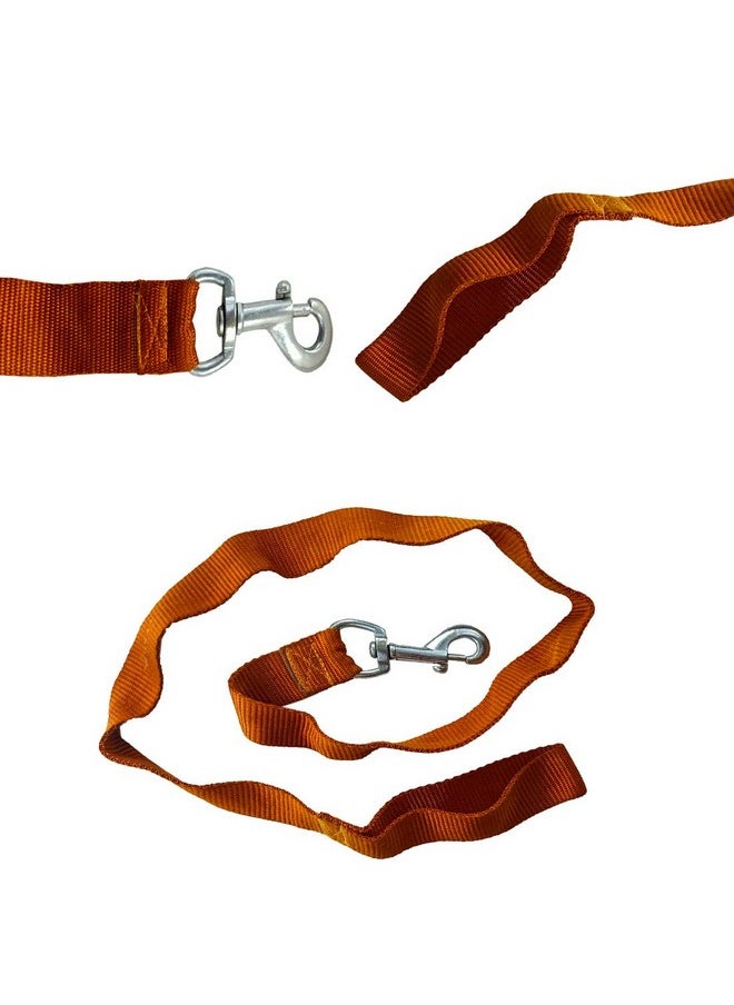 DIY Crafts Pack Of 5 Pcs, Orenge, Collar Belt Chain & Leash For Puppies, Dogs(Pack Of 5 Pcs, Orenge)  - Image 3