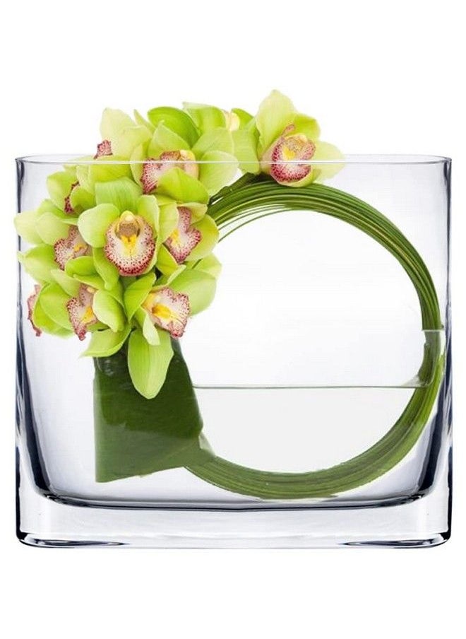 CYS EXCEL Glass Book Vase (H:6" Open:7"X2") ; Multiple Size Choices Round Edge Oval Flower Vase ; Rectangular Wedding Centerpiece Vases  - Image 3