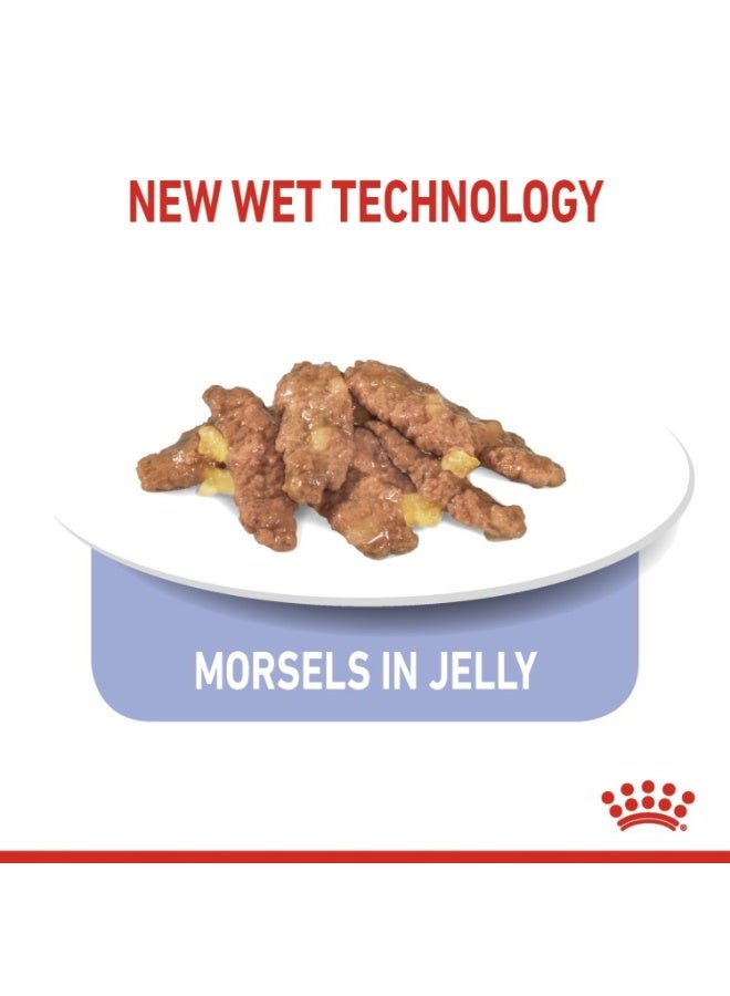 ROYAL CANIN Feline Health Nutrition Indoor 7+ Jelly (WET FOOD - Pouches) 12 x 85g - Image 2