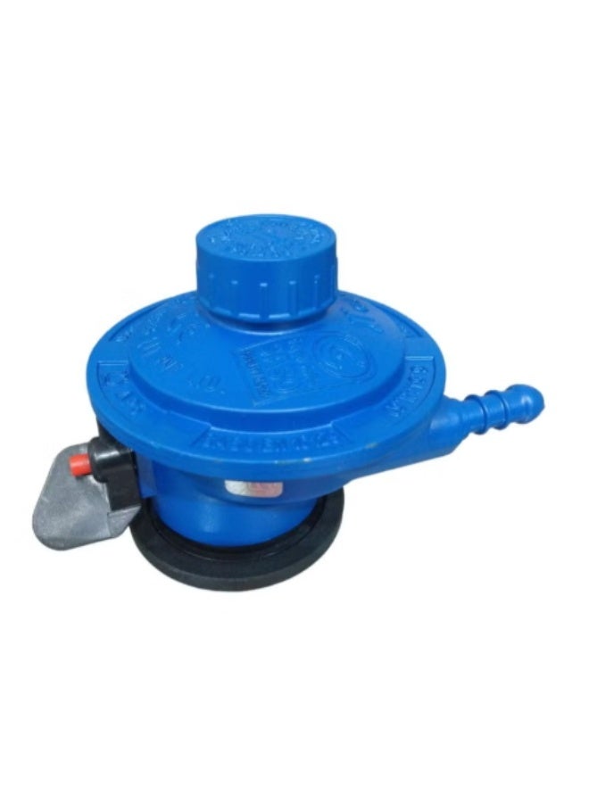 رورافد روافد منظم أسطوانة غاز هندي 20-90 ملي بار - الأزرق - Image 2