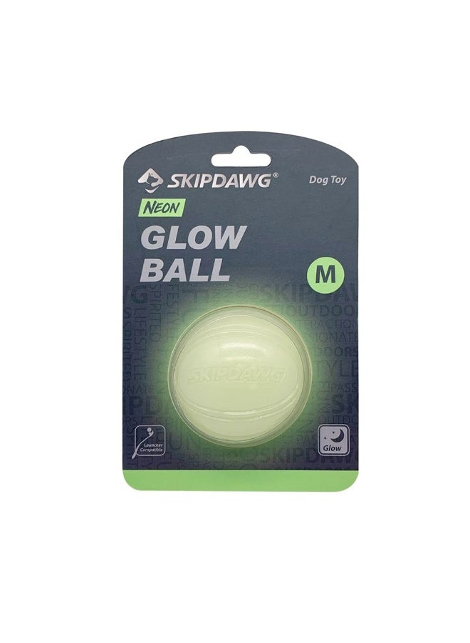 Skipdawg Skipdawg Neon Glow Ball Dog Toy - Medium 