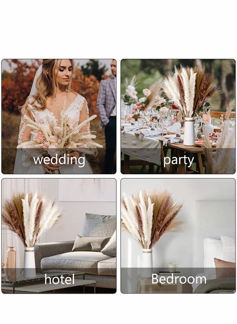 Dried Pampas Grass, 60 Pcs Boho Natural Flowers Arrangements White Reed, Bunny Tails for Home Decor Flower Living Room Balcony Wedding Party - Image 3