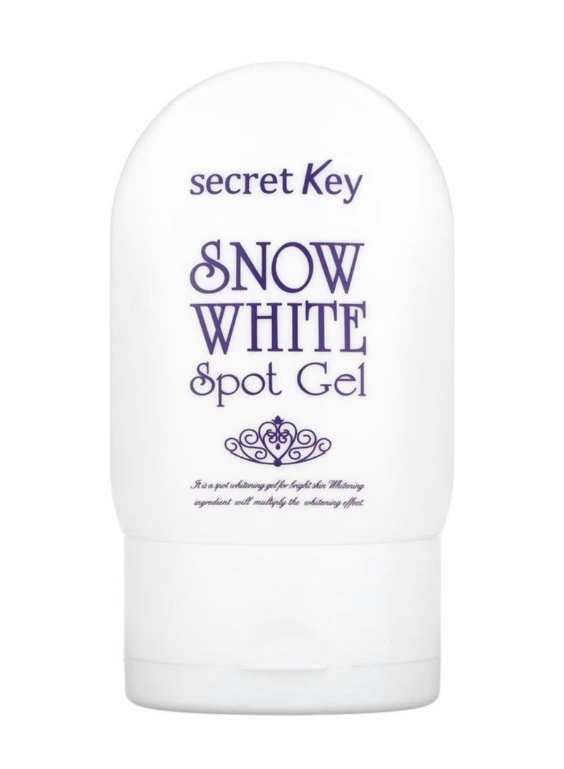 Secret Key Snow White Spot Gel 65g - Image 1