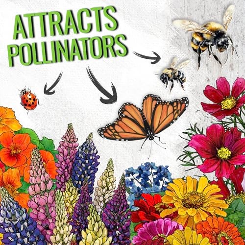 Seed Needs Flower Seeds Hummingbird and Butterfly Seed Mix 1 Ounce No Filler | 23 Varieties Garden Seeds Annual & Perennial Species | Pollinator Attracting Flowering Seed | Bulk Resealable Package - Image 4