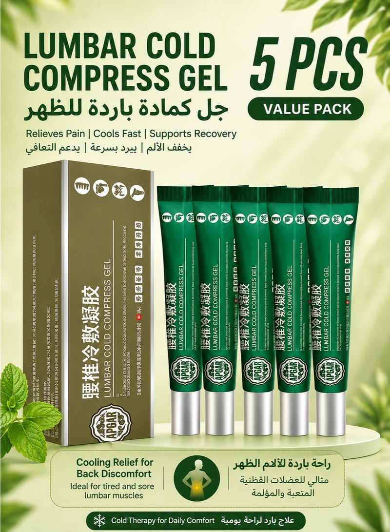 APGAR 5-Pack 20g Lumbar Spine cooling gel,Lumbar Cold Compress gel ,Relieves Pain Joints, Cervical Spine And Lumbar Discs,Knee Pain Relief , Natural Herbal Joint Pain Relief Gel - Image 1