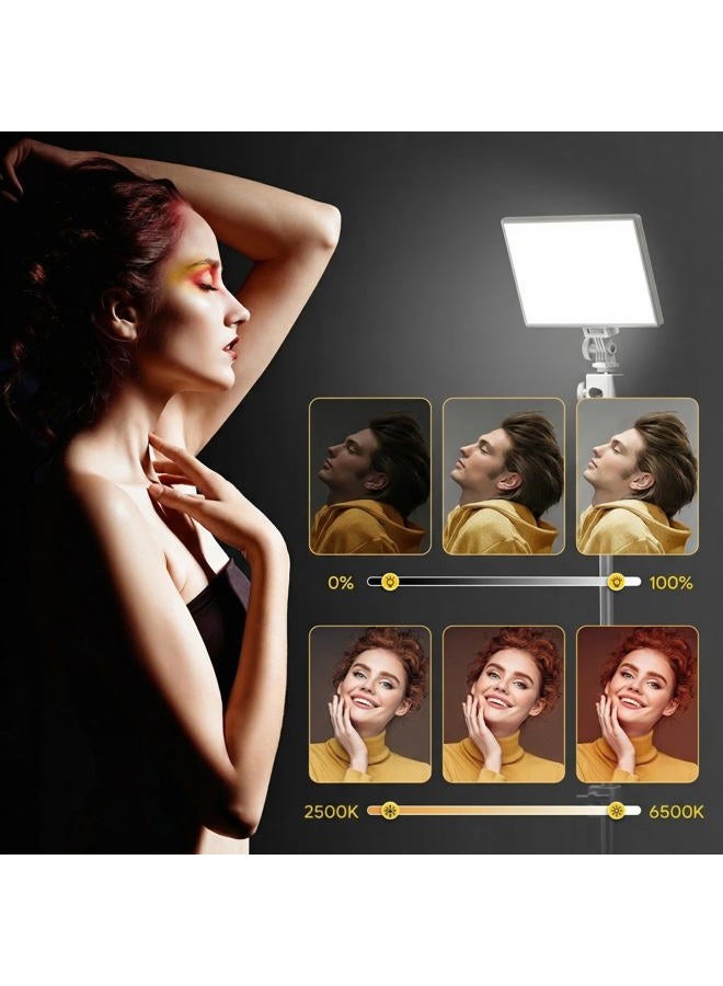 RALENO LED Video Light, Built-in 4000mAh * 2 Battery 3200-5600K CRI95 0-100% Brightness Adjustment on Camera Light for Vlog Lighting, Video Conferencing, YouTube Studio Photography - Image 2