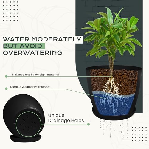 Utopia Home - Plant Pots Indoor with Drainage - 7/6.6/6/5.3/4.8 Inches Home Decor Flower Pots - Pack of 10 Plastic Planters for Indoor Plants, Cactus, Succulents Pot - Black - Image 3