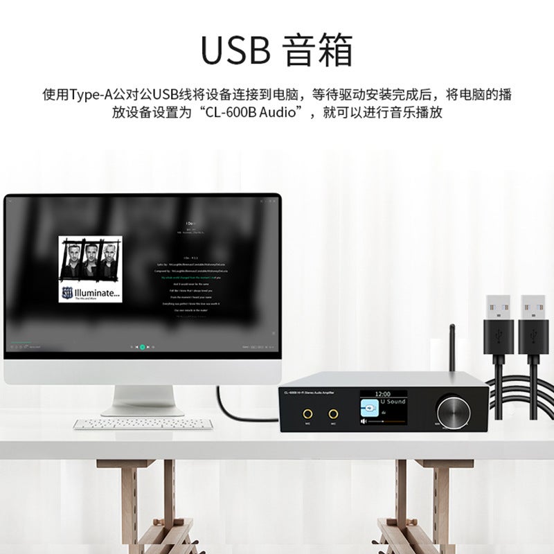 جديد كاراوكه احترافي رقمي مع بلوتوث منزلي 2X50W مكبر صوت لاسلكي مع مخرج فرعي - Image 4