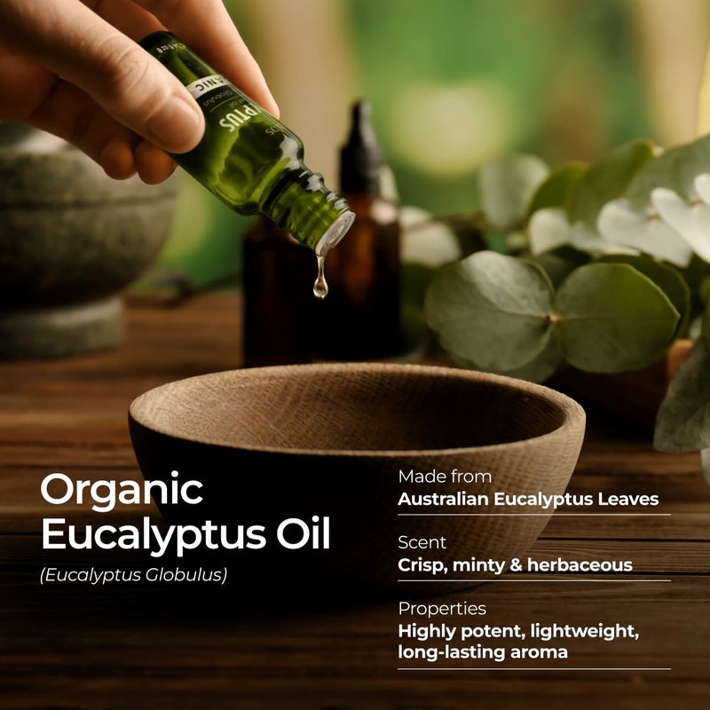 Gya Labs Organic Eucalyptus Essential Oil - 0.34 Fl Oz - for Skin, Hair, Diffuser, Aromatherapy, DIY Candle Making Scents - Image 3