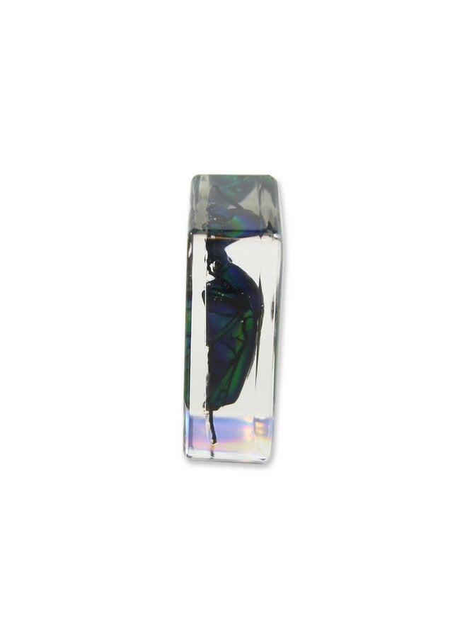 REALBUG Green Chafer Beetle Paperweight (1 1/8 x 1 3/4 x 3/4) - Image 2