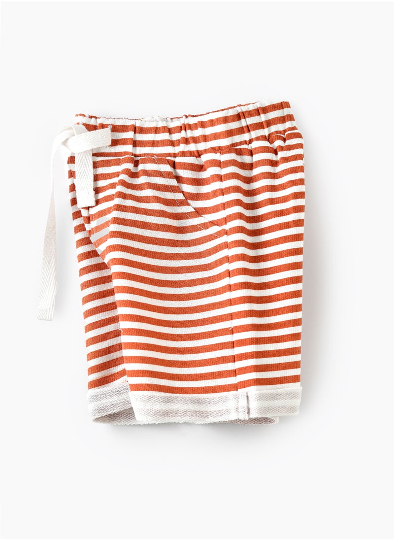 JAM Sun Adventures: Boys' Breathable Cotton Knit Shorts  - Image 3