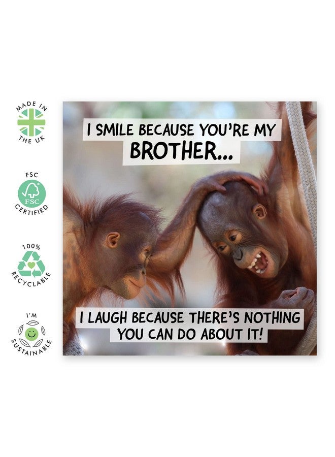 Central 23 Birthday Card For Brother Funny Brother Birthday Card For Him Gag Jokes Prank Comes With Fun Stickers - Image 2