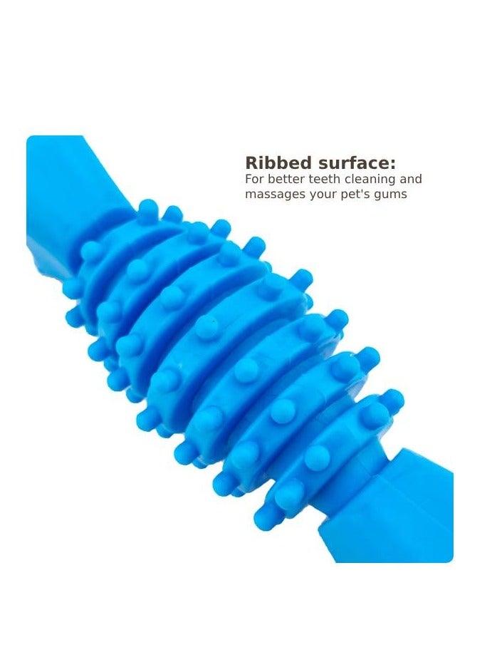 بي إل PL - لعبة مضغ العظام المضلعة - رمادي - Image 2