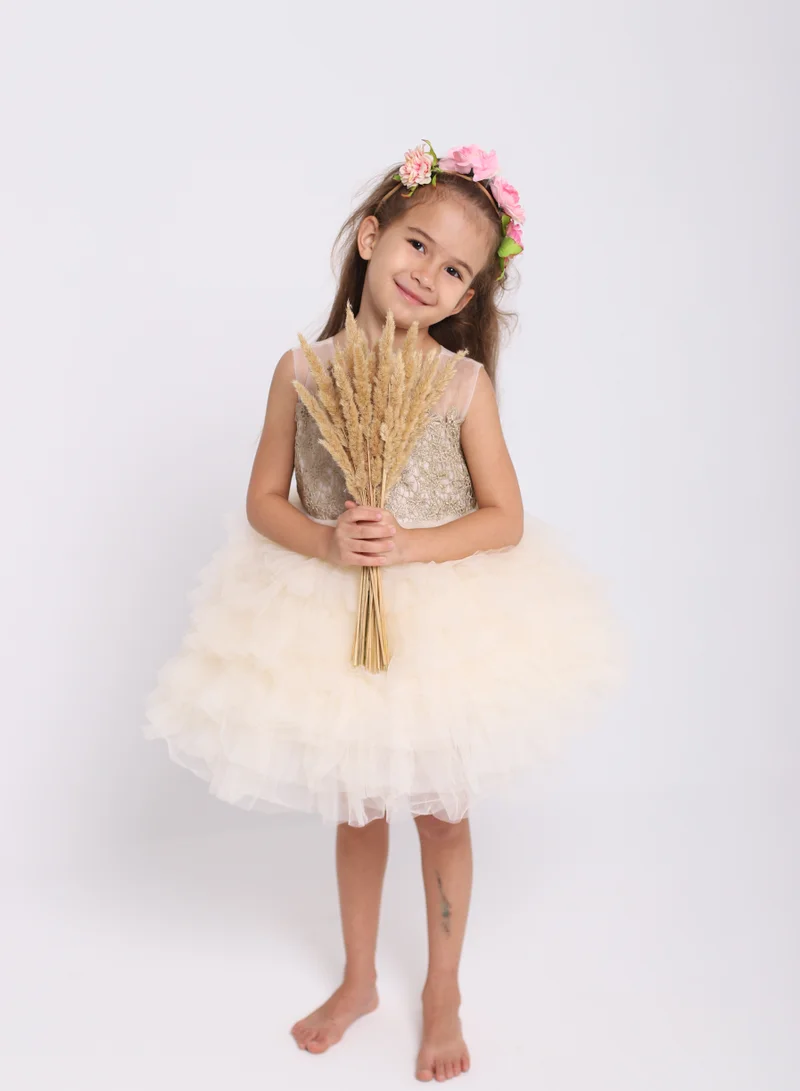 D'Daniela Tiered Tulle Dress