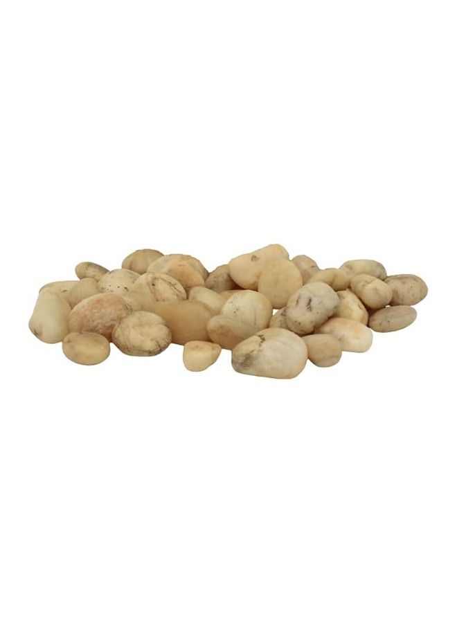 FANCY FLOWERS Decorative Natural Cream White  Stones For Flowerpot Garden Decoration Landscaping Wedding Home Vase Aquarium (1)W - Image 2