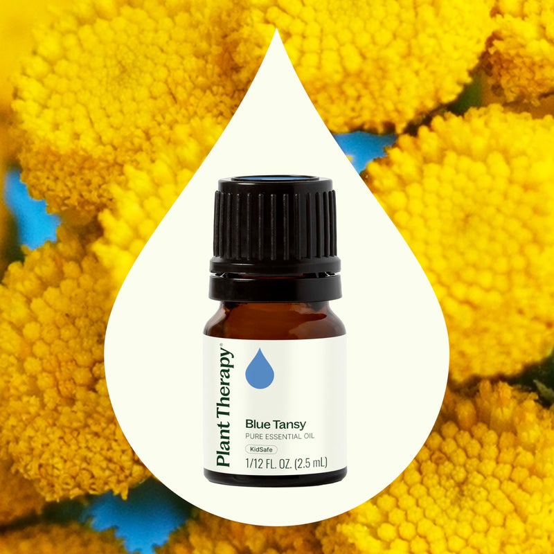 Plant Therapy Blue Tansy Essential Oil 100% Pure, Undiluted, Natural Aromatherapy, Therapeutic Grade 2.5 mL (1/12 oz) - Image 3