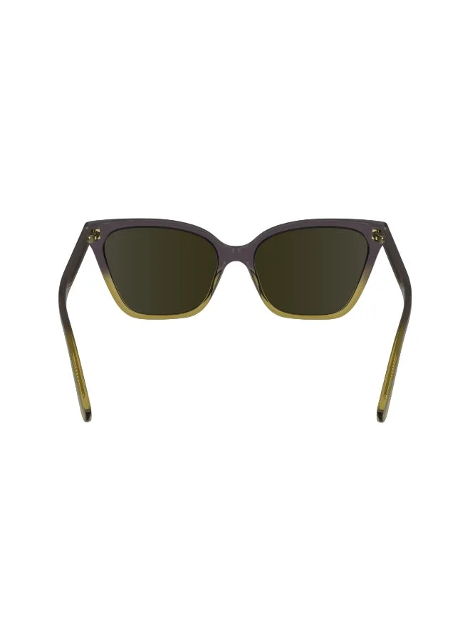 Calvin Klein  FULL RIM INJECTED CALVIN KLEIN SUN CK24507S  | Best Price UAE