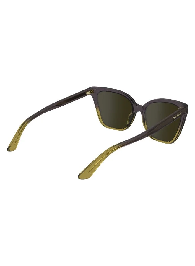 Calvin Klein  FULL RIM INJECTED CALVIN KLEIN SUN CK24507S  | Best Price UAE