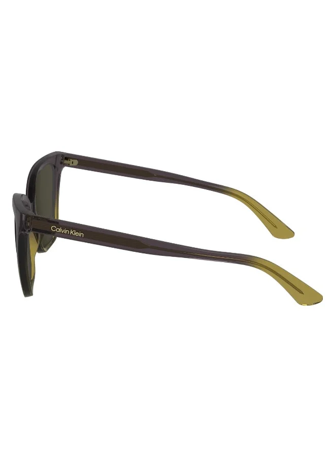 كالفن كلاين FULL RIM INJECTED CALVIN KLEIN SUN CK24507S