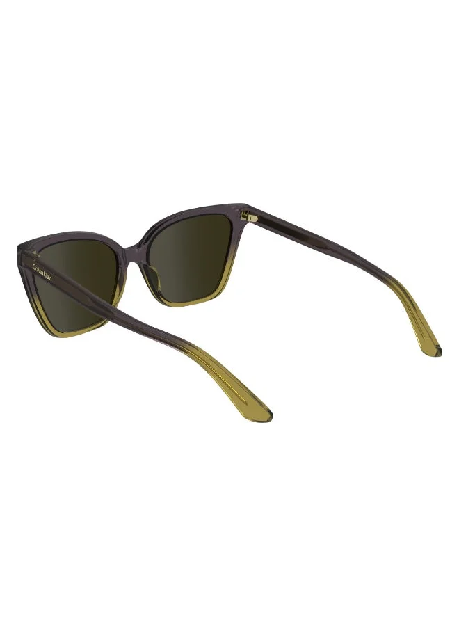 Calvin Klein  FULL RIM INJECTED CALVIN KLEIN SUN CK24507S  | Best Price UAE