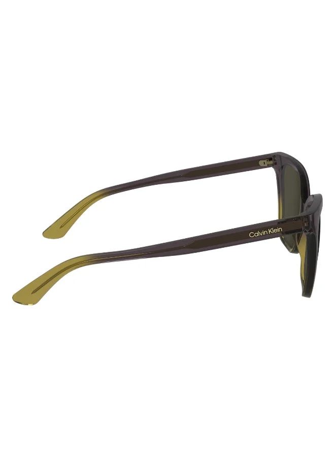 Calvin Klein  FULL RIM INJECTED CALVIN KLEIN SUN CK24507S  | Best Price UAE