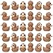 GGSTDDUP 60pcs Mini Resin Sloth Ducks Tiny Sloths Duckies for Hiding Miniature Sloths Figurines Novelty Party Favors Gift Decoration Brown Sloth Duck - Image 2