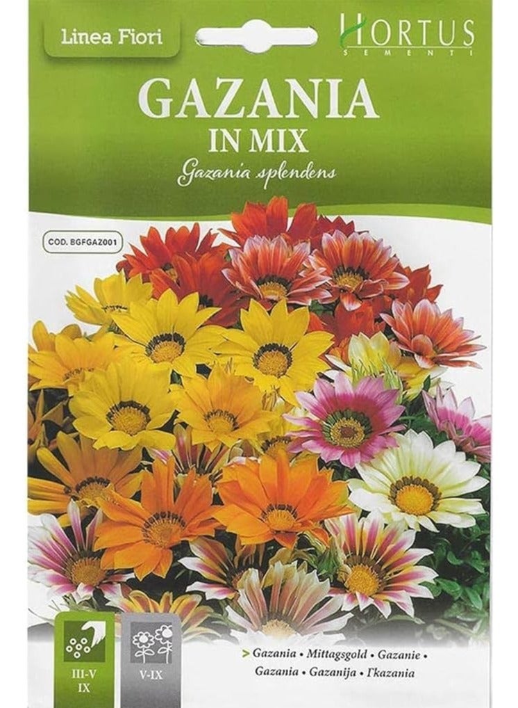 هورتس مزيج Hortus Gazania بذور عالية الجودة (Gazania In Mix) (صنع في إيطاليا) بواسطة Hortus Sementi - Image 1