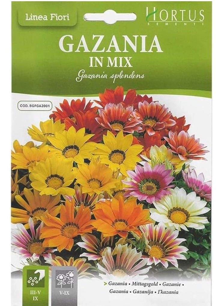 هورتس مزيج Hortus Gazania بذور عالية الجودة (Gazania In Mix) (صنع في إيطاليا) بواسطة Hortus Sementi - Image 2