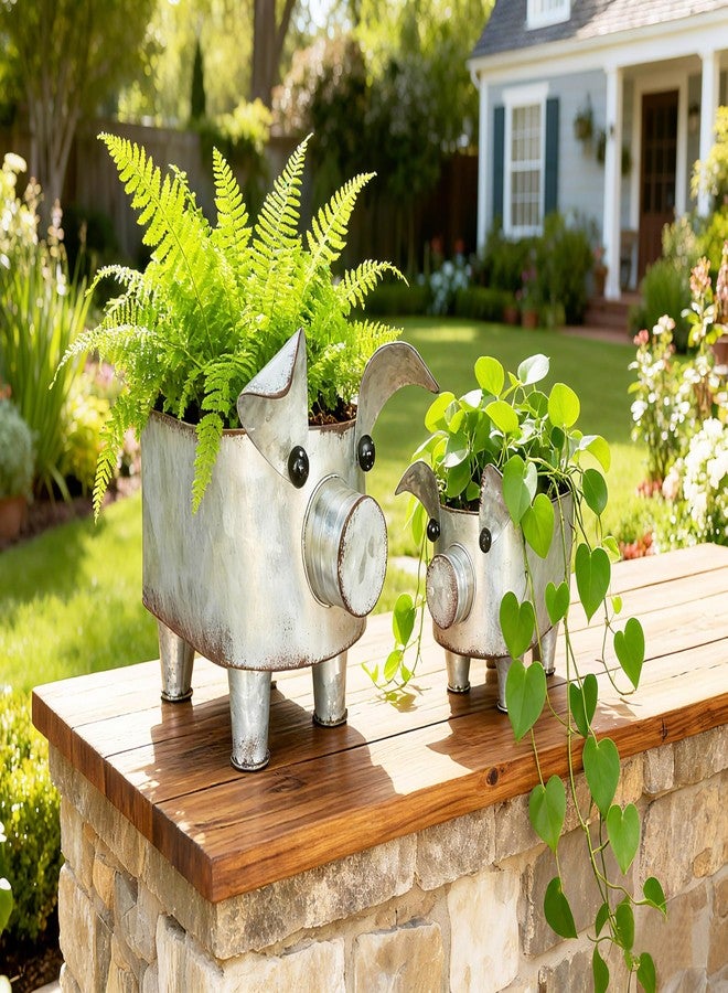 ShabbyDecor وعاء تخزين على شكل خنزير من المعدن المجلفن من شابي ديكور، مناسب للحمام والمطبخ وغرفة المعيشة، طقم من قطعتين، كبير وصغير - Image 1
