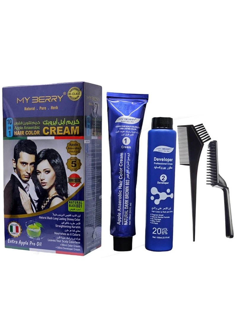 Hair Coloring Cream 10 in 1 Apple Aerobic Natural Black 801