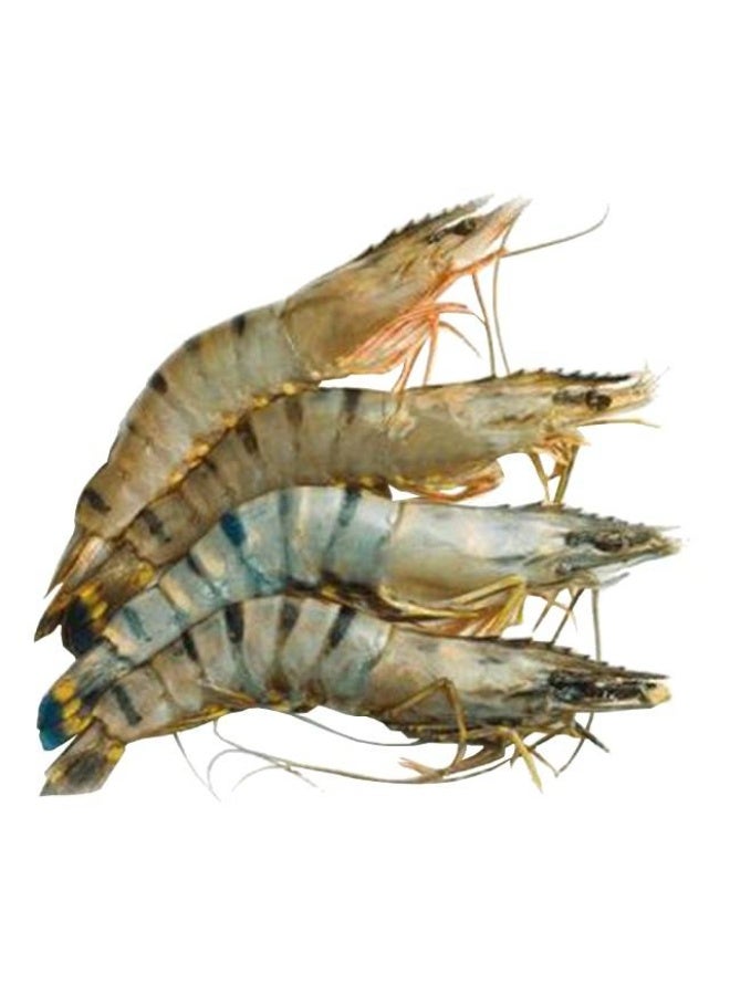 Black Tiger Prawns, Jumbo - 4-6 Pieces (500g), Vietnam