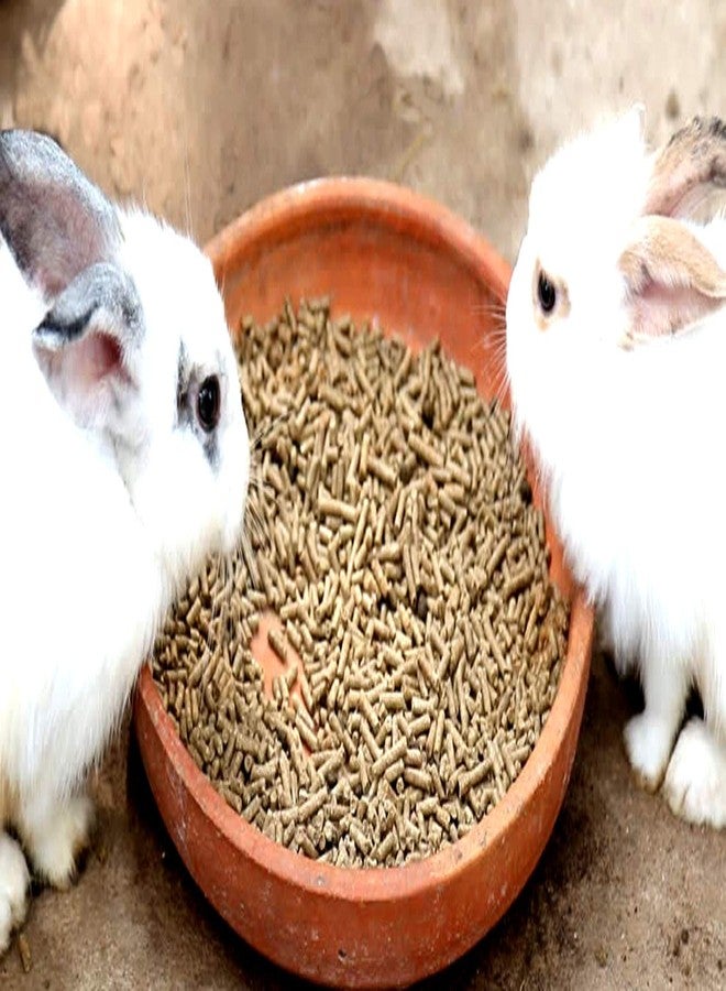 One Top 100% Natural Rabbit Growth Foods Dry Rabbit,Hamster,Guinea Pigs PELLETS Rabbit Foods (500 gm) - Image 2