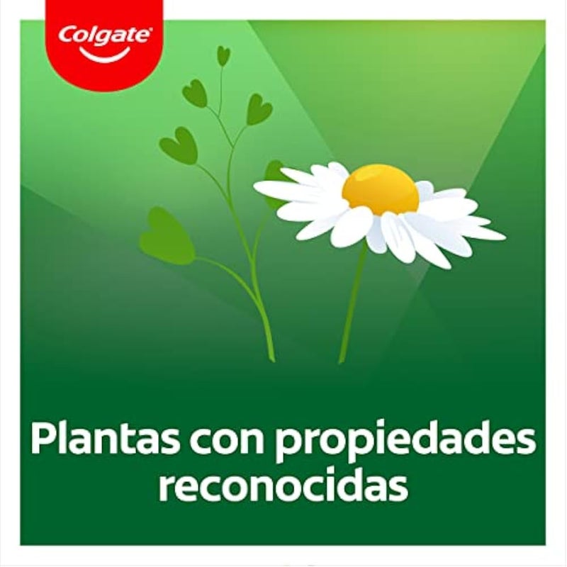 Colgate Herbal Original Toothpaste, 75 ml, Toothpaste Made with Some of Nature's Best Herbs, Helps Keep Teeth Strong and Gums Healthy, Fresh Eucalyptus Flavor - Image 4