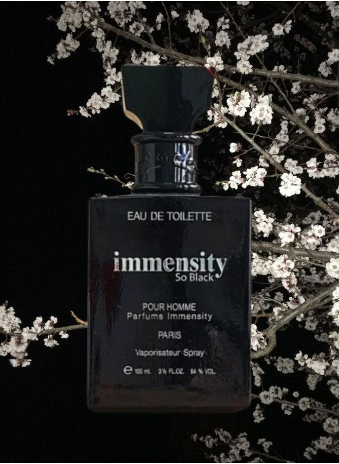 9 Pieces Immensity So Black Perfume 100ML - pzsku/Z1EBE32FA541BEB5F2BCDZ/45/_/1726827591/f22e8d4a-9218-4b1c-993c-00e1d862f0f5