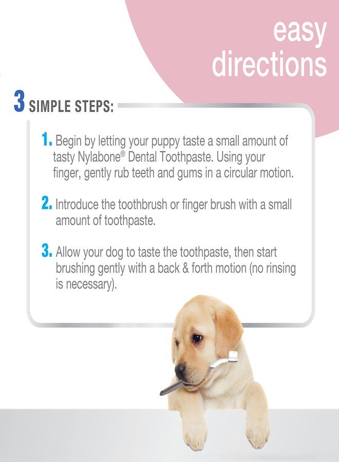 Nylabone Advanced Oral Care Puppy Dental Kit with Pillowy Soft-Bristle Toothbrush Peanut Butter (3 Count) - Image 4