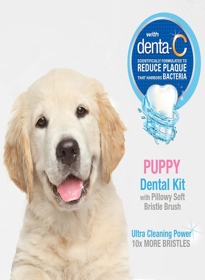 Nylabone Advanced Oral Care Puppy Dental Kit with Pillowy Soft-Bristle Toothbrush Peanut Butter (3 Count) - Image 2