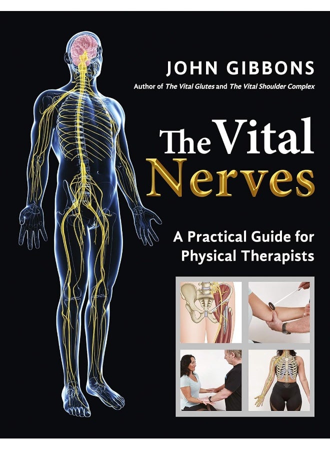 The Vital Nerves: A Practical Guide for Physical Therapists  - Image 1