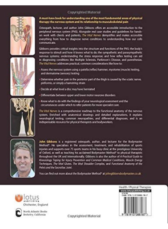 The Vital Nerves: A Practical Guide for Physical Therapists  - Image 2