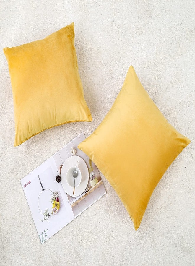 NiNi ALL Decorative Throw Pillow Covers Velvet Soft for Couch Sofa Bedroom Living Room Outdoor Pack of 2 18x18 Inch Yellow - Image 3