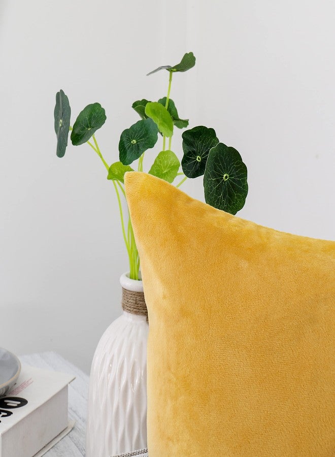 NiNi ALL Decorative Throw Pillow Covers Velvet Soft for Couch Sofa Bedroom Living Room Outdoor Pack of 2 18x18 Inch Yellow - Image 2